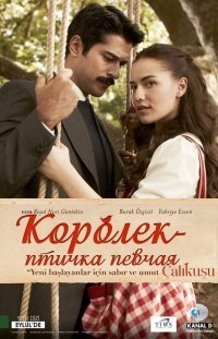 Королек - птичка певчая Все серии (2013) смотреть онлайн турецкий сериал на русском языке